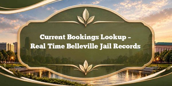 Current Bookings Lookup – Real‑Time Belleville Jail Records